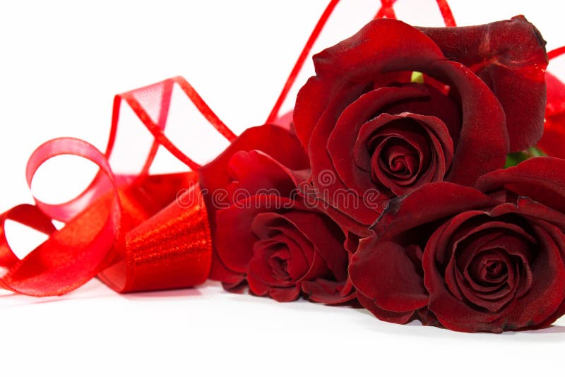 Red roses with ribbons stock image. Image of flower, gift 17811967