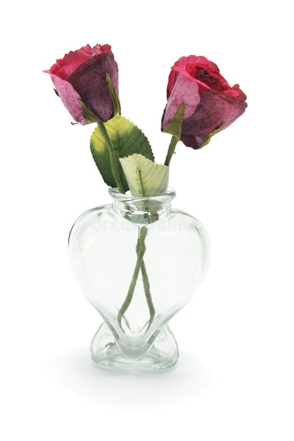 Two roses in a vase stock photo. Image of vertical, present 15089624