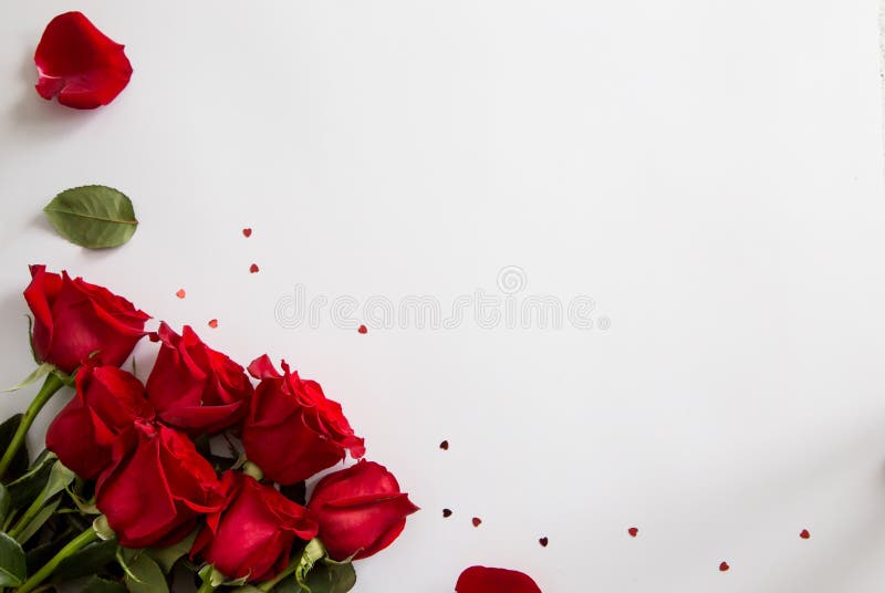 Red Roses on White Background. Valentines Day Background, Wedding Day Stock  Image - Image of background, holiday: 169002783