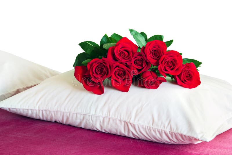 Red Roses On A White Pillow Stock Photo Image of nature, celebrations