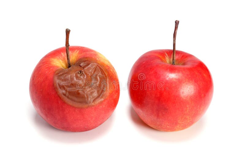 ROTTEN APPLE definition in American English