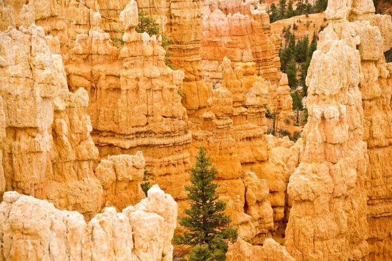 Red Sandstone Pinnacles Close-up