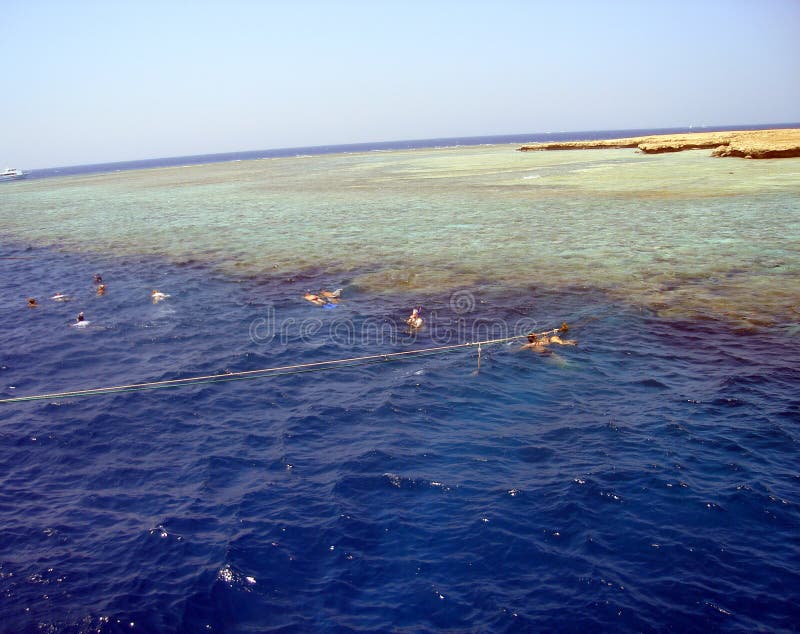 Red sea diving
