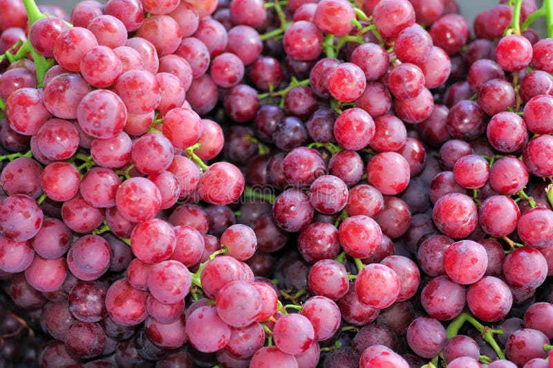 Seedless Red Grapes in White Bowl, Close Up View. Stock Image Image