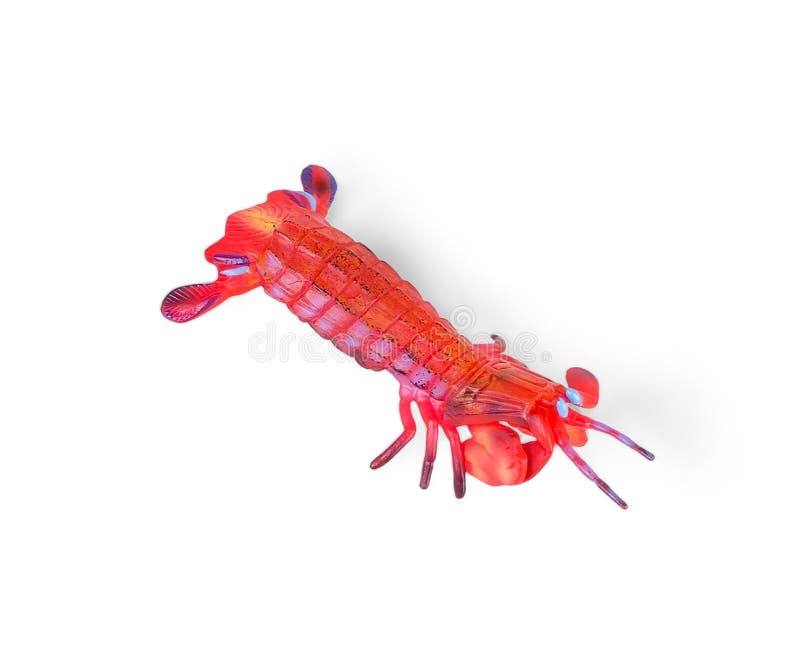 Shrimp Plastic Miniature Toy Isolated on White Stock Photo Image of