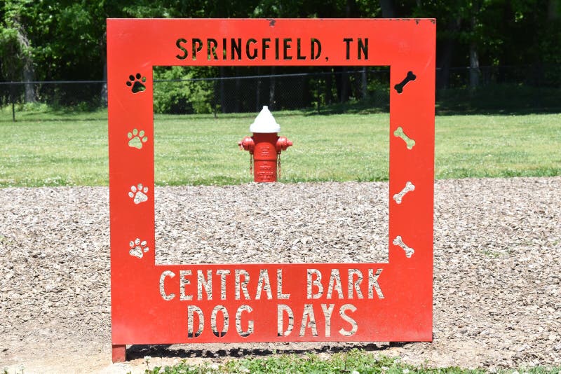 Red Sign with a fire hydrant in the background  signifying `Central Bark Dog Days` in Springfield Tennessee