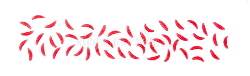 Maggot Baits Stock Illustrations – 7 Maggot Baits Stock