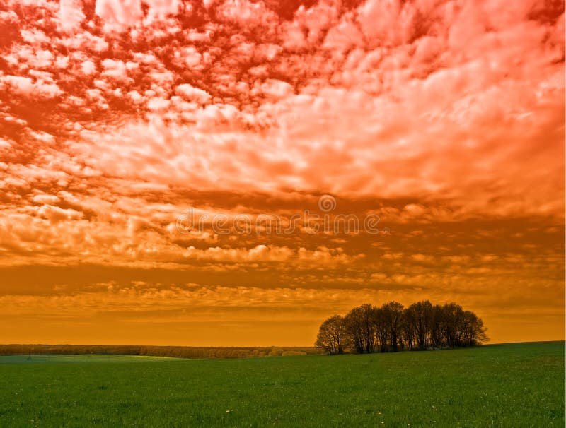 Red sky and trees