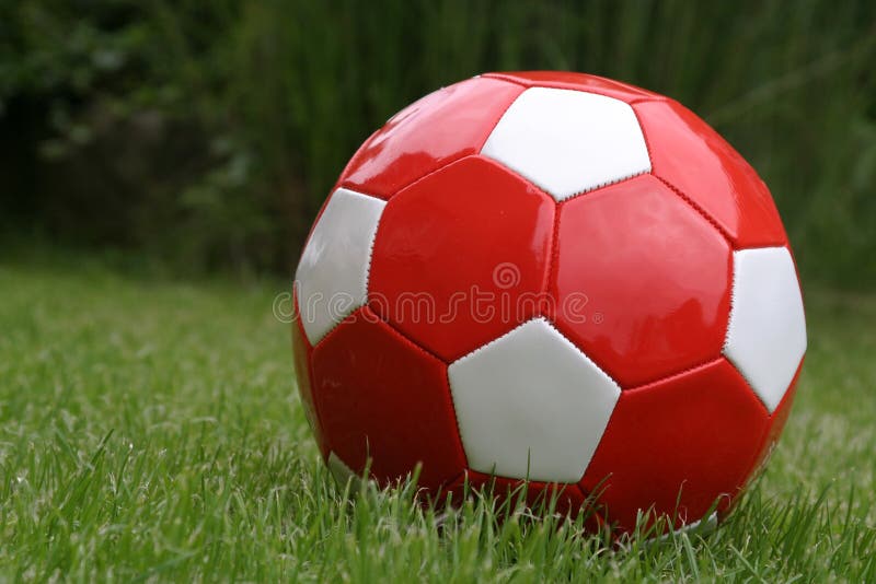 Soccer Field Pitch Red Flag Stock Photo Image of kicking, football