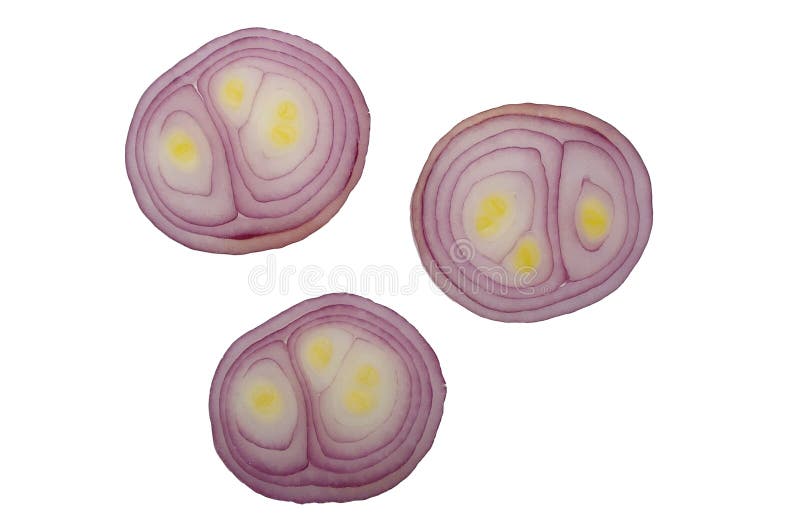 Red spanish onion