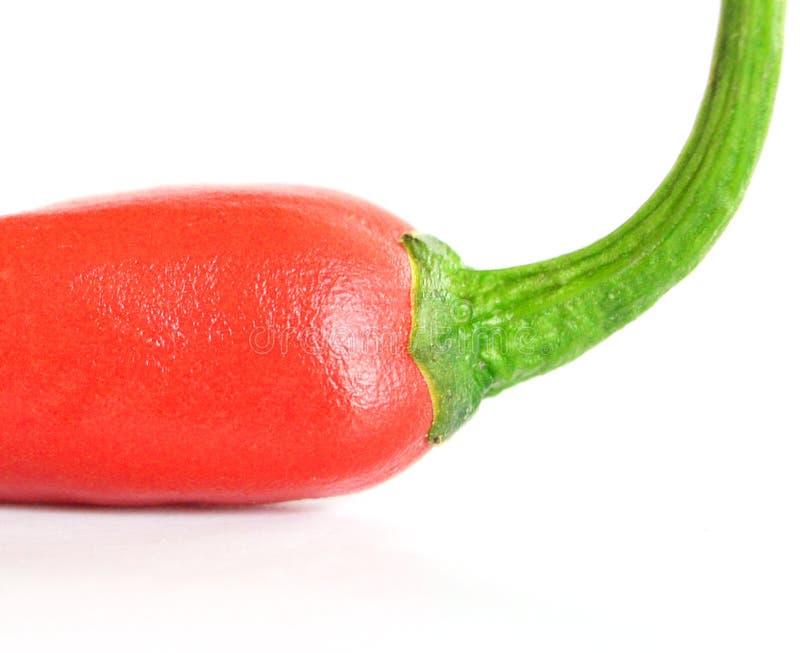 Red Spicy Chili Peppers stock photo. Image of cutout 92140572