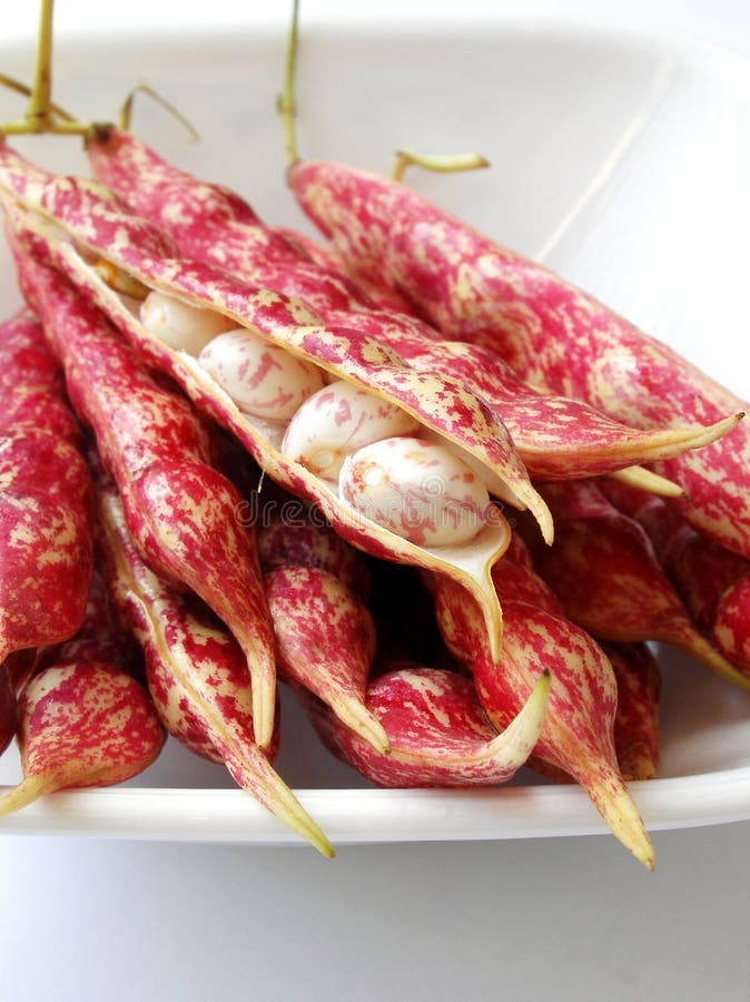 An image of some spotted or mottled red kidney haricot legume beans in a white bowl. Taken against a clean white background. These speckled red beans or peas are popularly used in chinese oriental cuisine. They are sometimes called Rainbow Beans, or Pearl Beans. Also related to the kidney beans. The peas are shelled, then boiled in soup with meat or bones. Subtle and sweet flavour, well liked food of children too. Rich in proteins, they are a good meat substitute for vegetarians. Vertical format image, nobody in picture. An image of some spotted or mottled red kidney haricot legume beans in a white bowl. Taken against a clean white background. These speckled red beans or peas are popularly used in chinese oriental cuisine. They are sometimes called Rainbow Beans, or Pearl Beans. Also related to the kidney beans. The peas are shelled, then boiled in soup with meat or bones. Subtle and sweet flavour, well liked food of children too. Rich in proteins, they are a good meat substitute for vegetarians. Vertical format image, nobody in picture.
