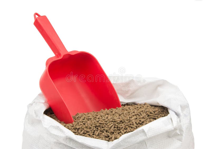Red standard scoop for measuring horse feed, standing up in pelleted feed, isolated on white