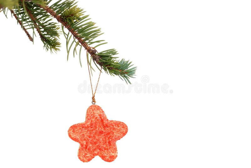 Red star cookie hanging on christmas tree branch