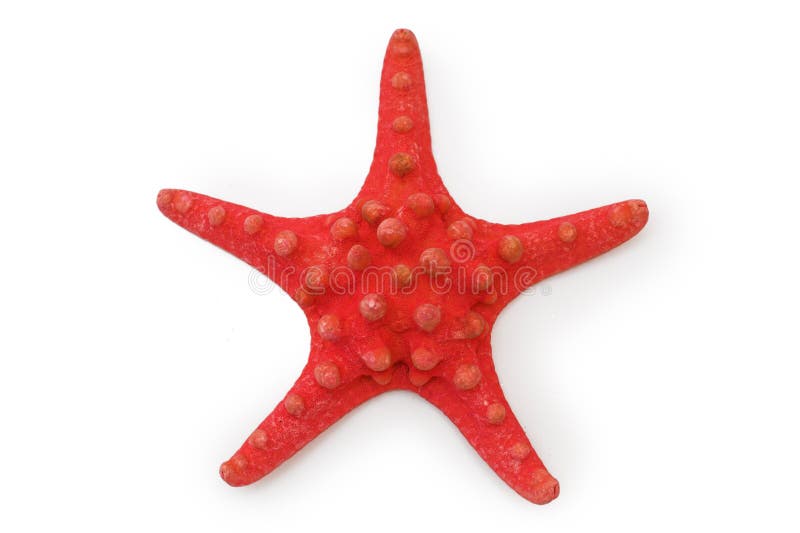 Red starfish