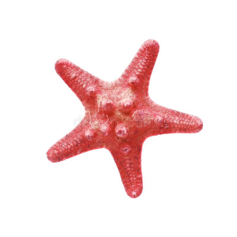 Red starfish