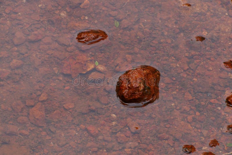 Red stones created pattern in water stock photos