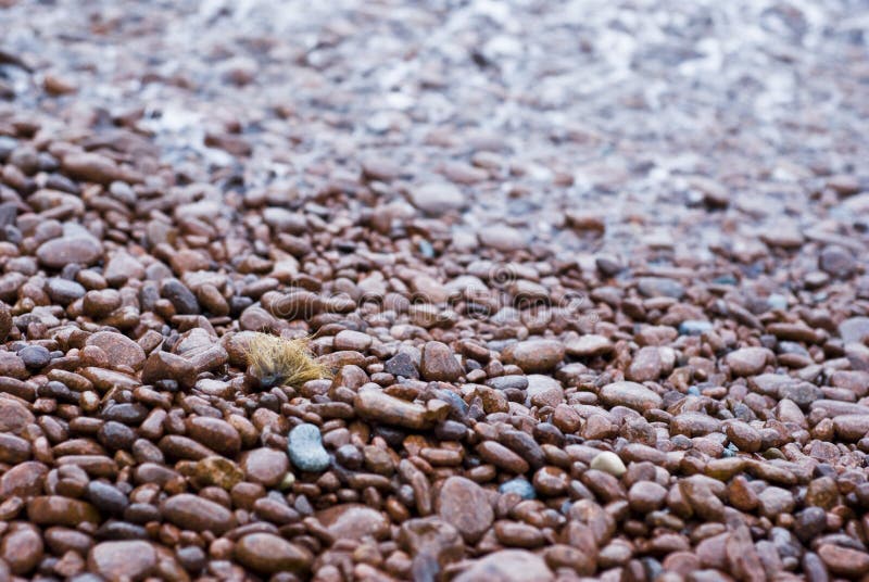 Red stones of provence coast