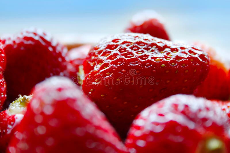 Red strawberries closeup stock photo. Image of vegetarian 2041560