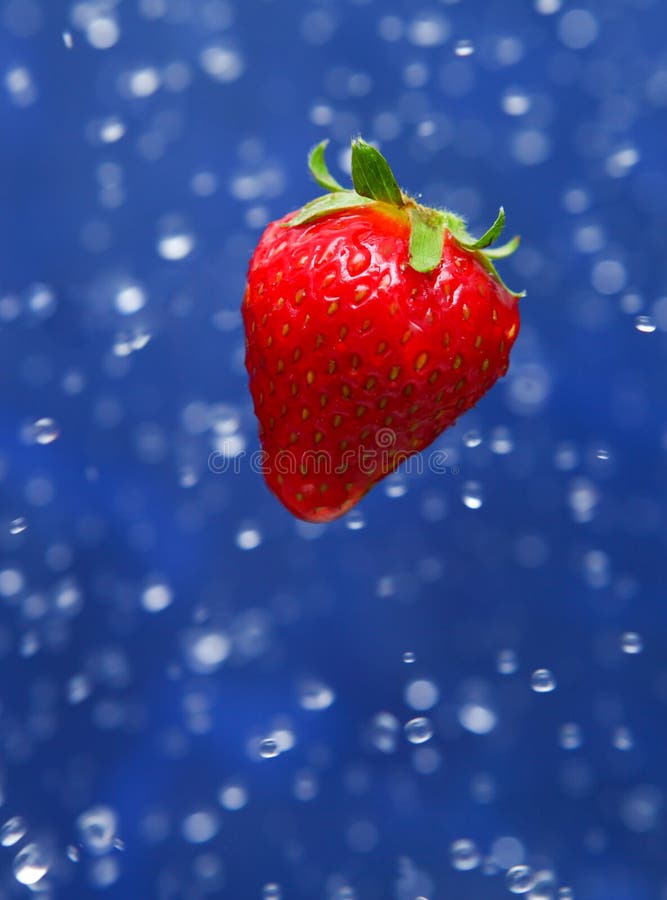 Red strawberry stock photo. Image of sweet, fruity, water - 22312154