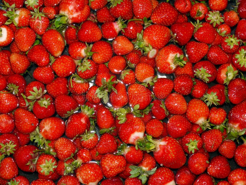 Red strawberry background