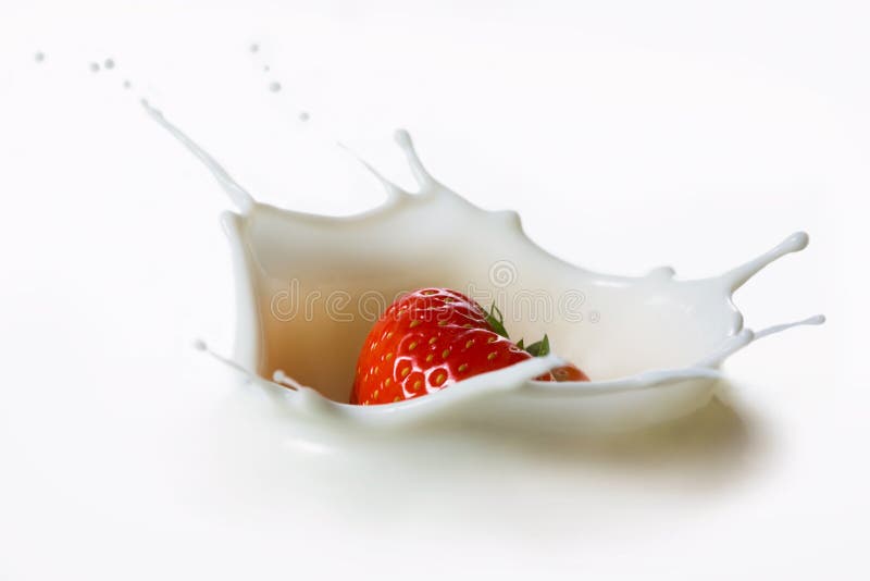 Red strawberry fruits falling into the milk stock photography