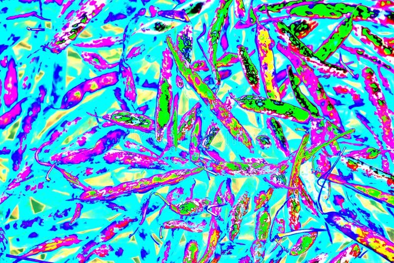 Red String Beans, Modified Color Scheme, Colorful Background. Stock