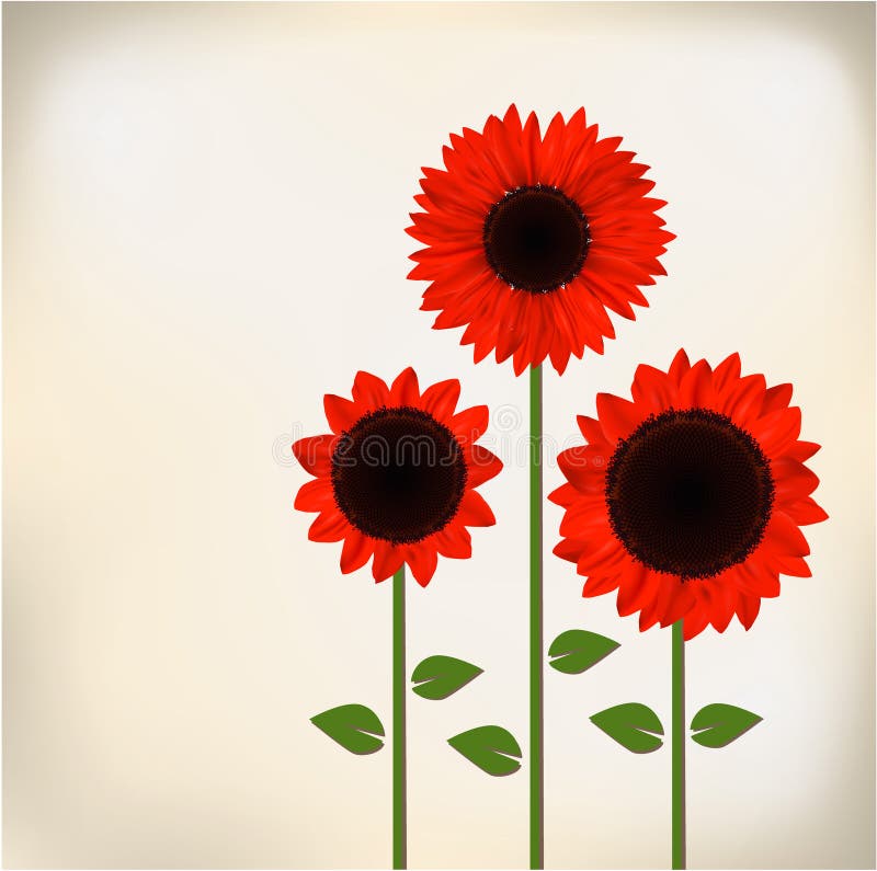 Download Red sunflower stock vector. Illustration of beautiful ...