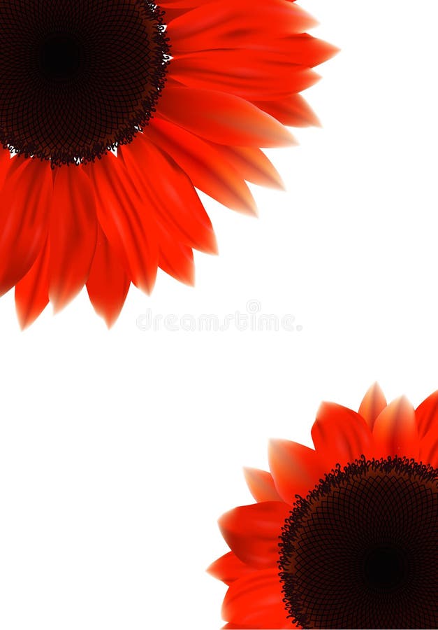 Download Red Sunflower stock vector. Illustration of herb, seed ...
