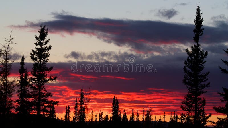 Red sunset behind forest