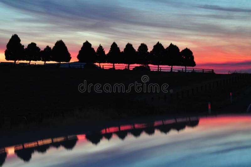 A red sunset sihouettes a row of trees