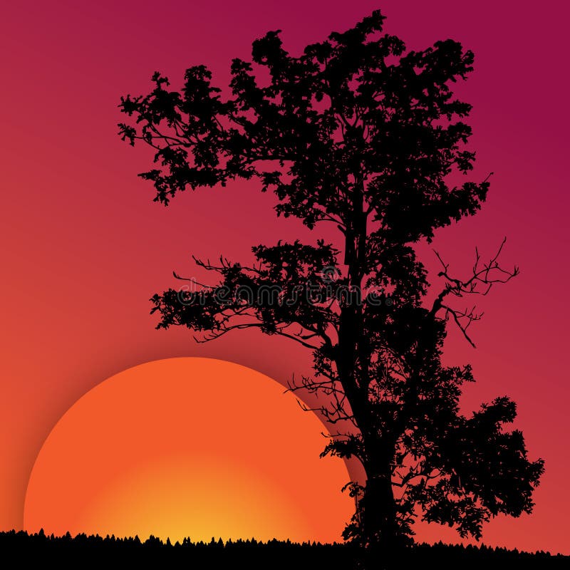 Red sunset with the silhouette of the tree