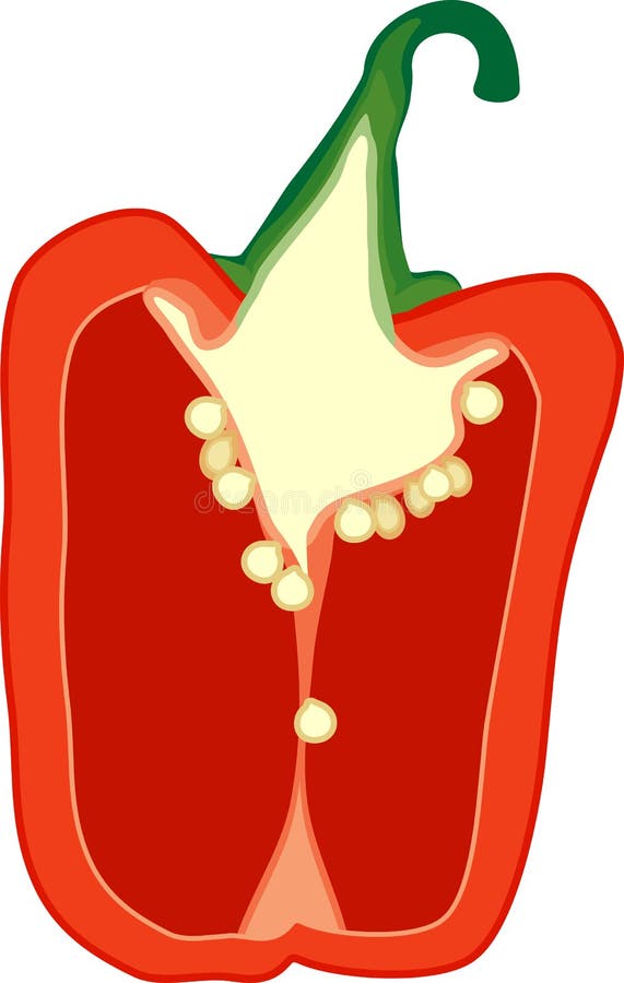 wallpapers How To Draw A Pepper Cut In Half sweet red pepper half cut stock