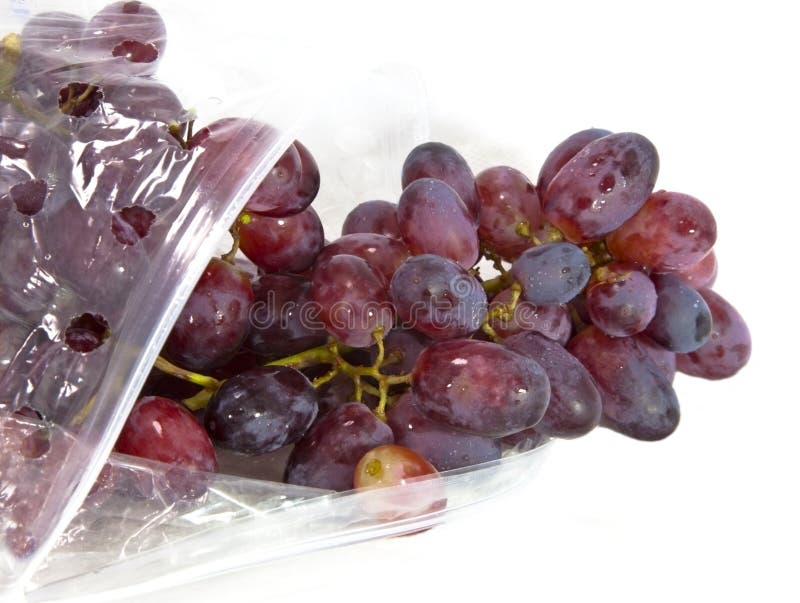 Garden Waterproof Grape Protection Bag Fruit Vegetable Pest Control Mesh Bag