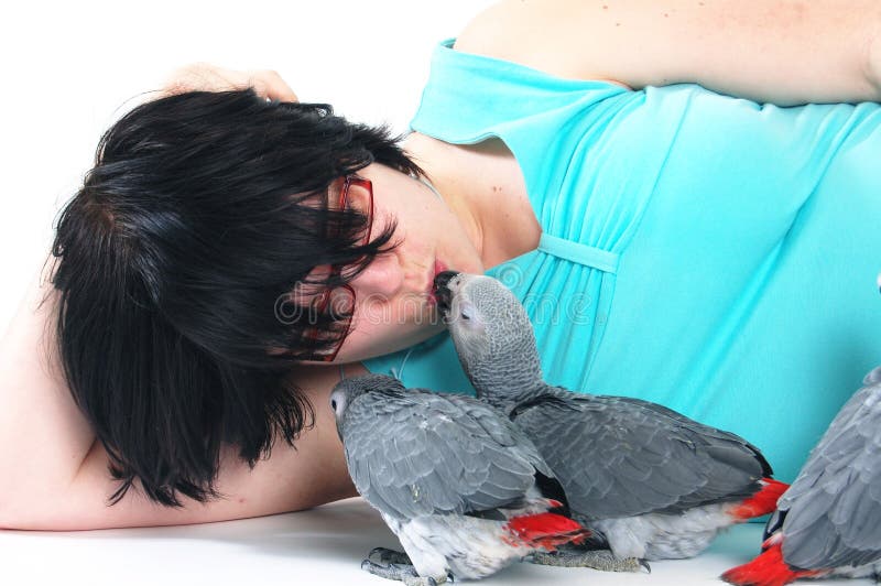 Red tale parrot on white kissing with female