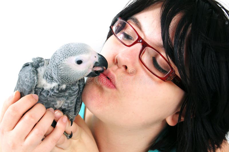 Red tale parrot on white kissing with female