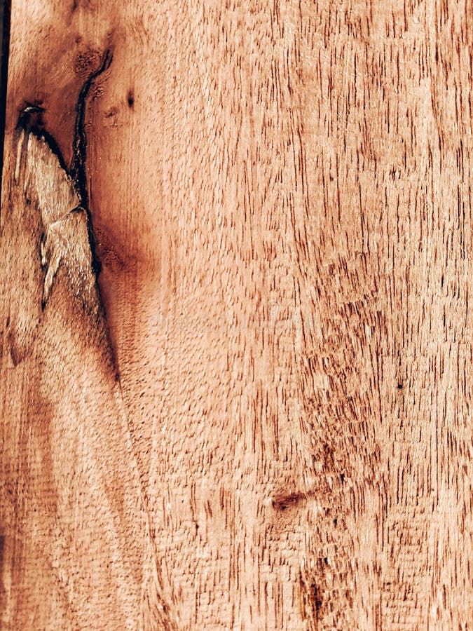 Red Teak Wood Grain Background Stock Photo Image of plant, flooring
