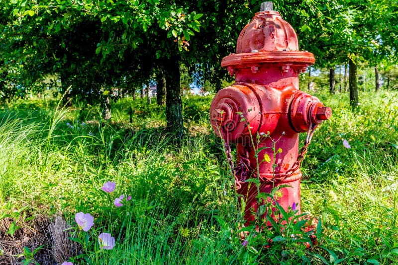 Red Texas Fire Hydrant with Texas Wildflowers in Springtime.