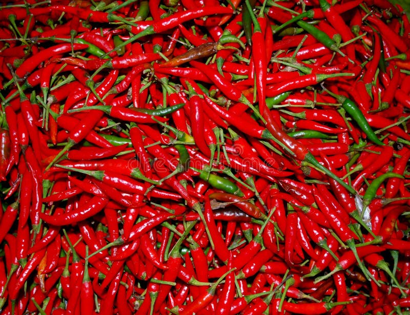 Red Thai paprika stock photo. Image of paprikas, cooking 46362284