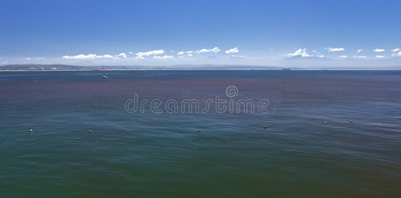 Red tide in indian ocean sea water