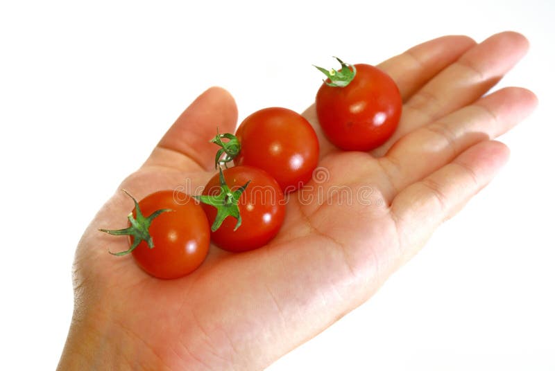 Red Tomato