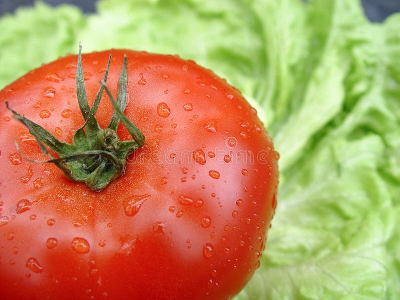 Red tomato on lettuce leaf stock image. Image of side 13898433