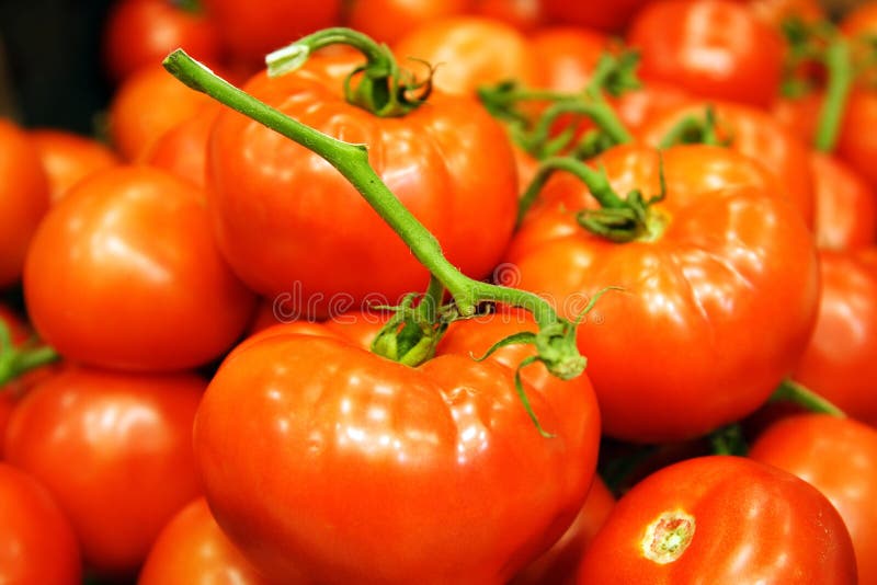 Red tomatoes