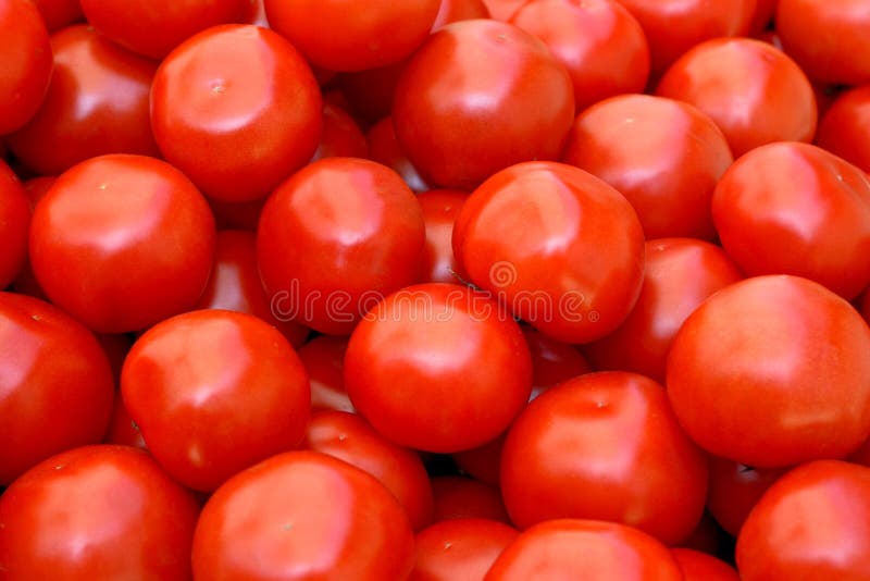 Fresh red organic tomatoes on the market. Fresh red organic tomatoes on the market