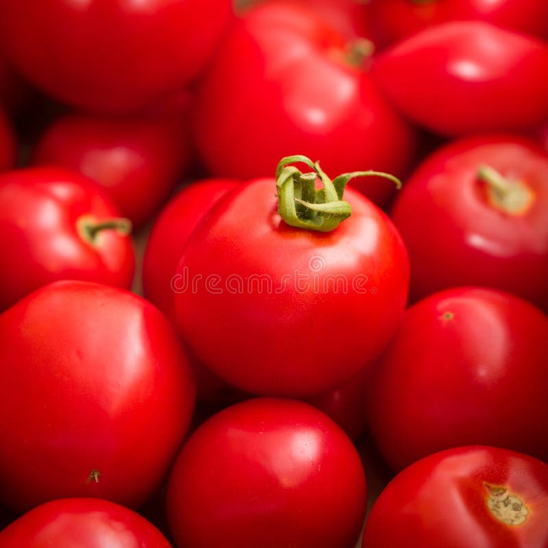 Red tomatoes