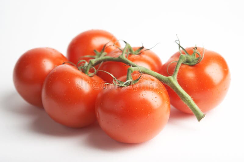 Red tomatoes