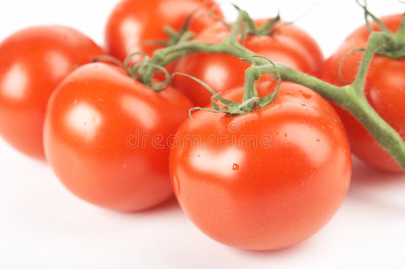 Red tomatoes