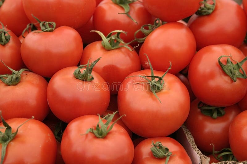 Red tomatoes