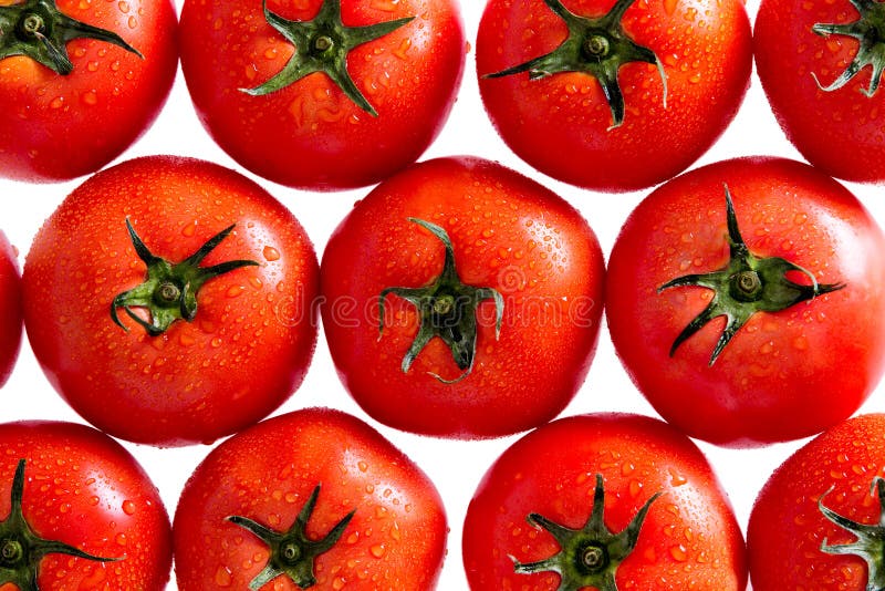 Red Tomatoes with Water Drops on White Background