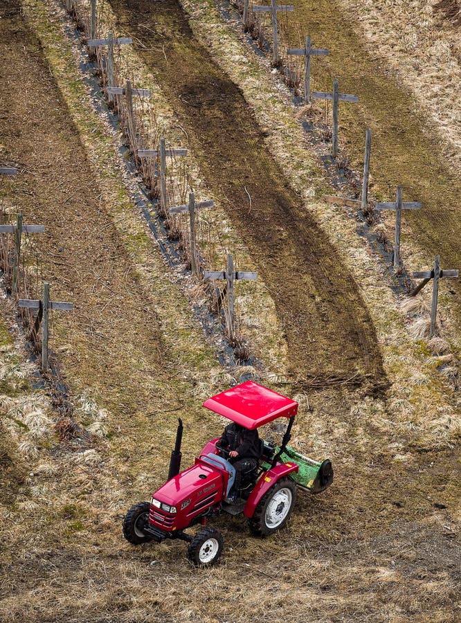 Red Tractor Working in Field stock images